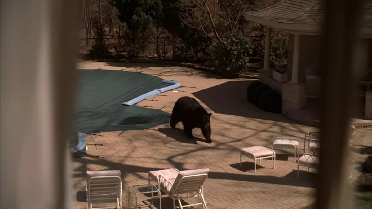 Фото галереи #1